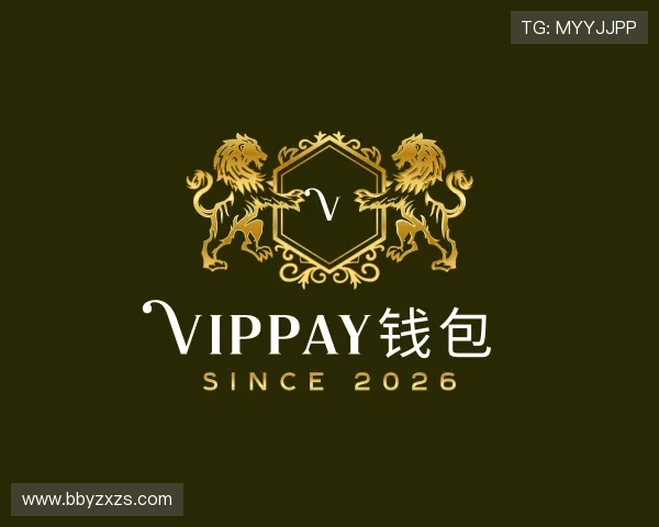 介绍VipPay钱包